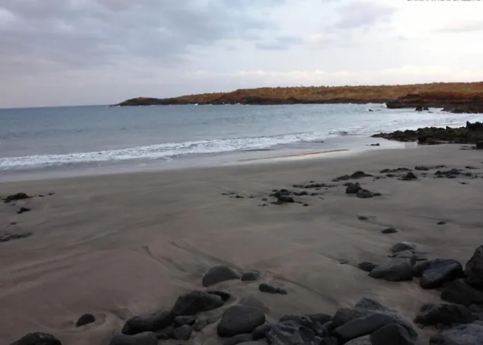 Tagoro Park By Lamondaos